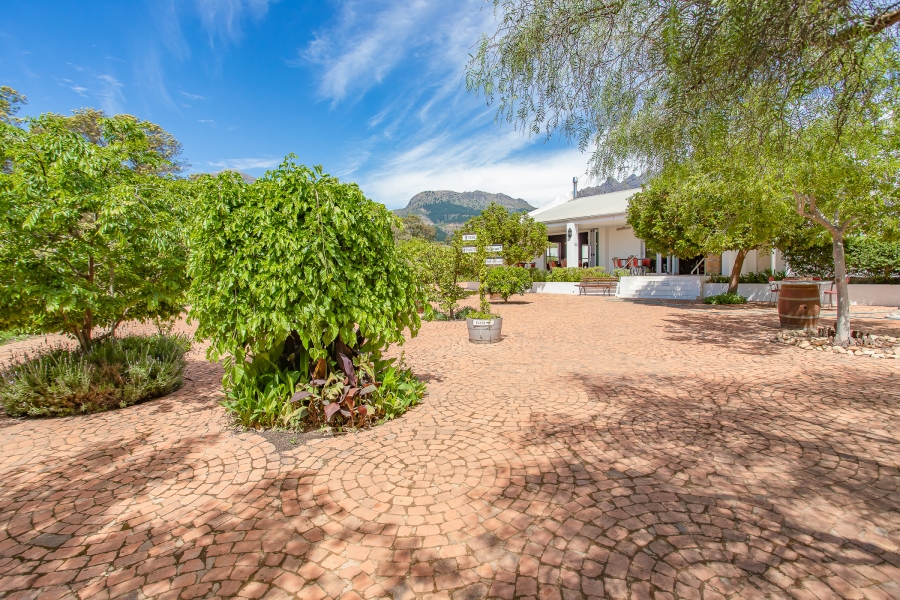 Commercial Property for Sale in Wellington Central Western Cape